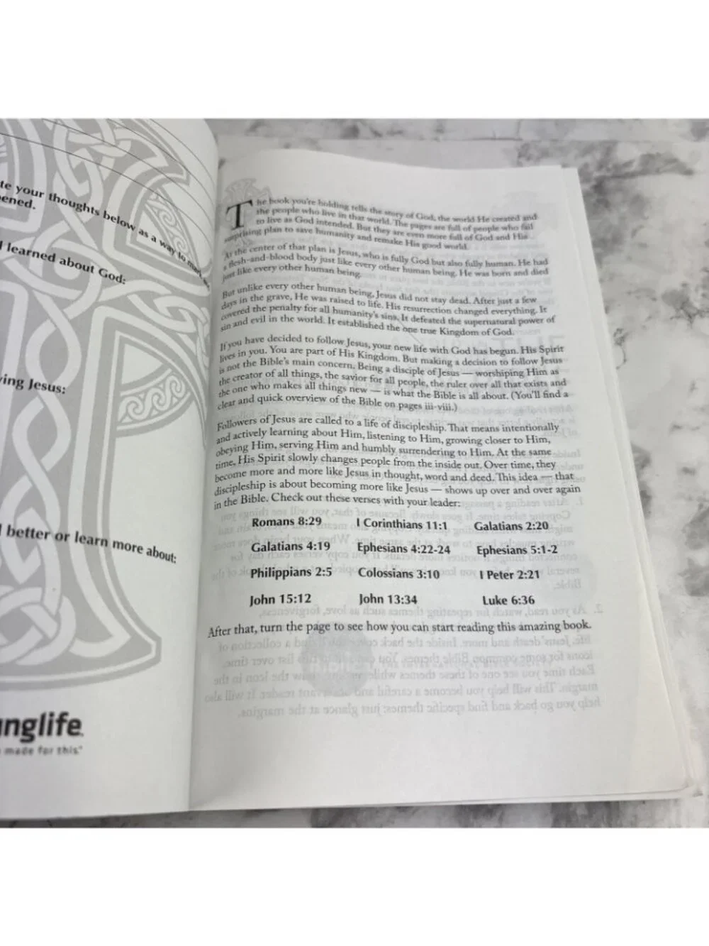 *Young Life Faux Leather NIV Bible W/ Celtic Cross Cover 2011 Biblica